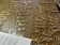 Wooden Custom Place Cards - Name Cutout